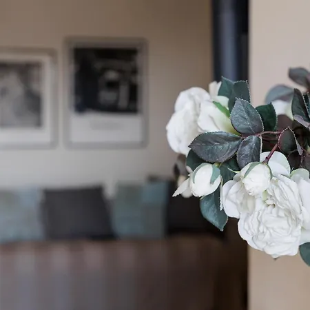 Virgula Maison Cuneo